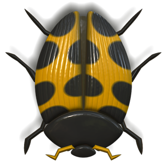 Yellow Ladybug With Black Spots