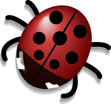 Ladybug Png 362 X 340