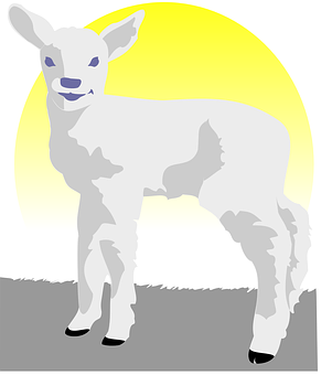 Lamb PNG