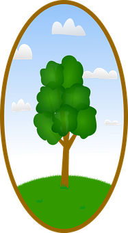 A Tree In A Circle