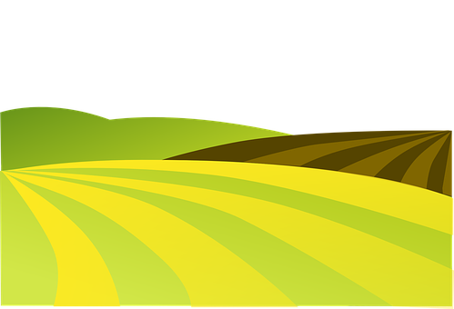 A Green And Yellow Fields