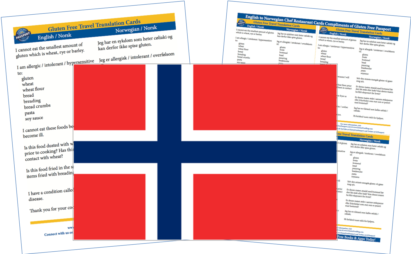 A Flag And Travel Translation Cards