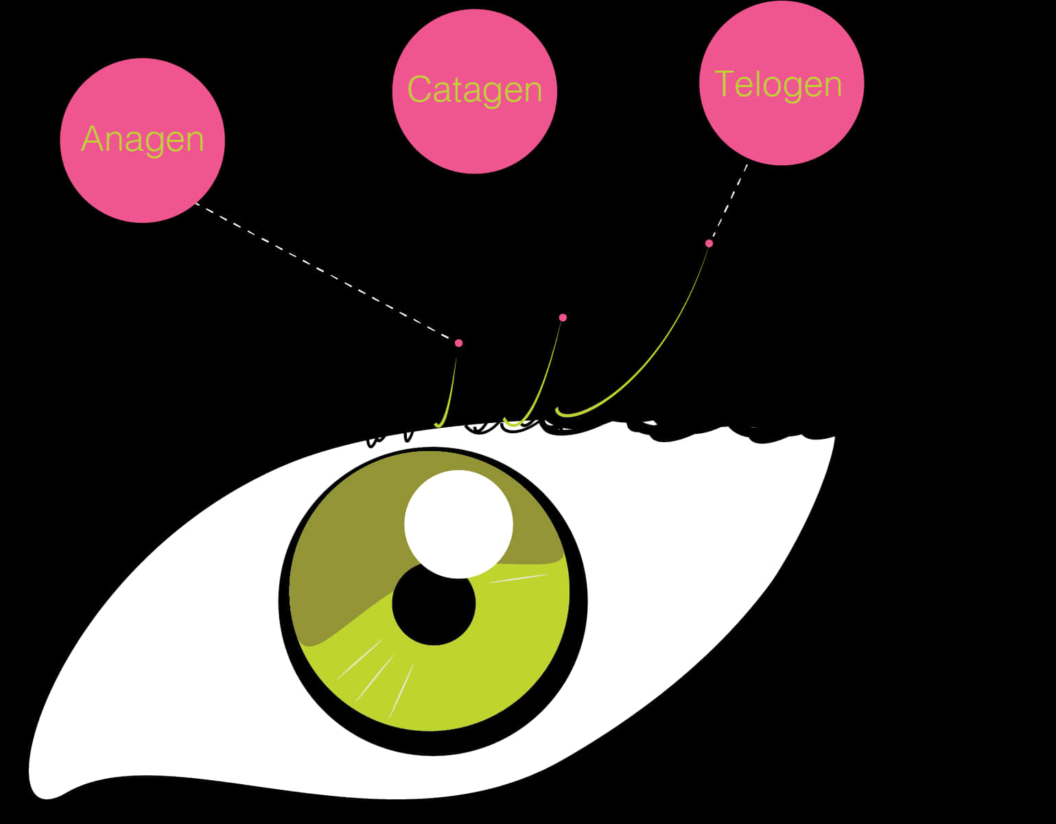 A Green Eye With Pink Circles
