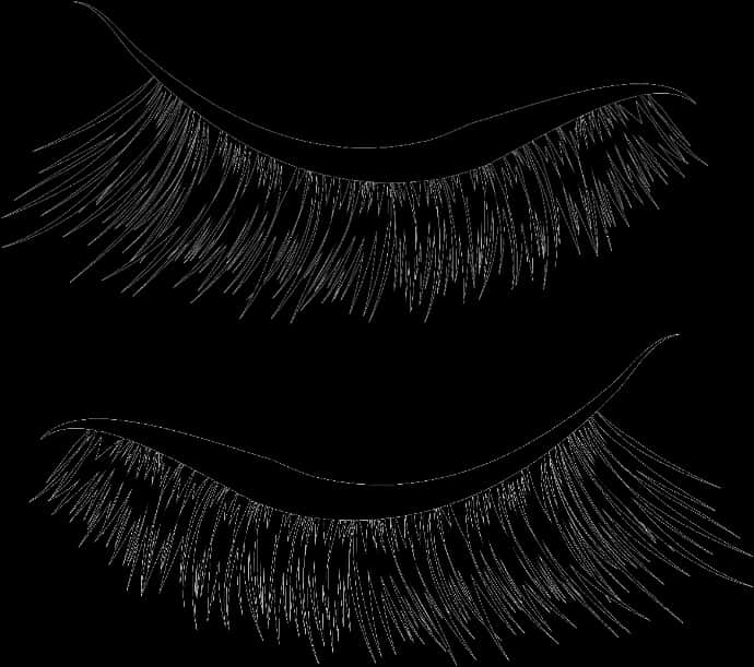 Lashes PNG