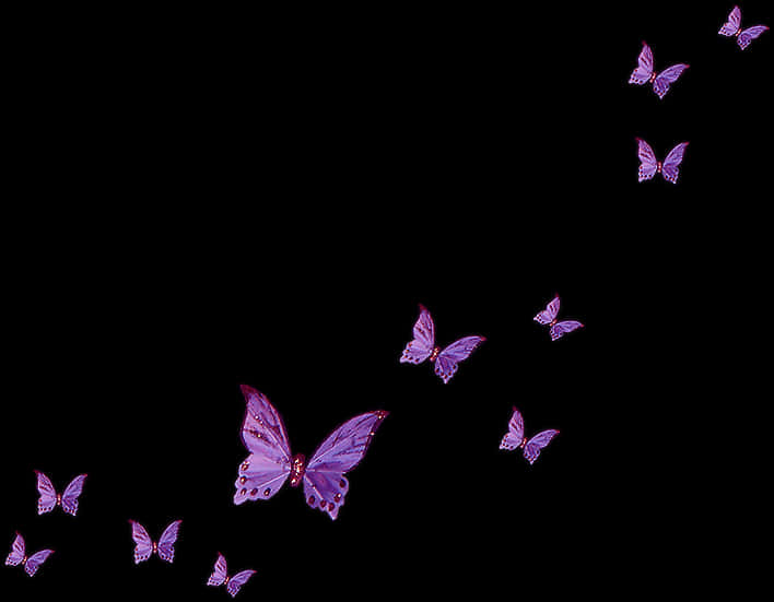 A Group Of Purple Butterflies