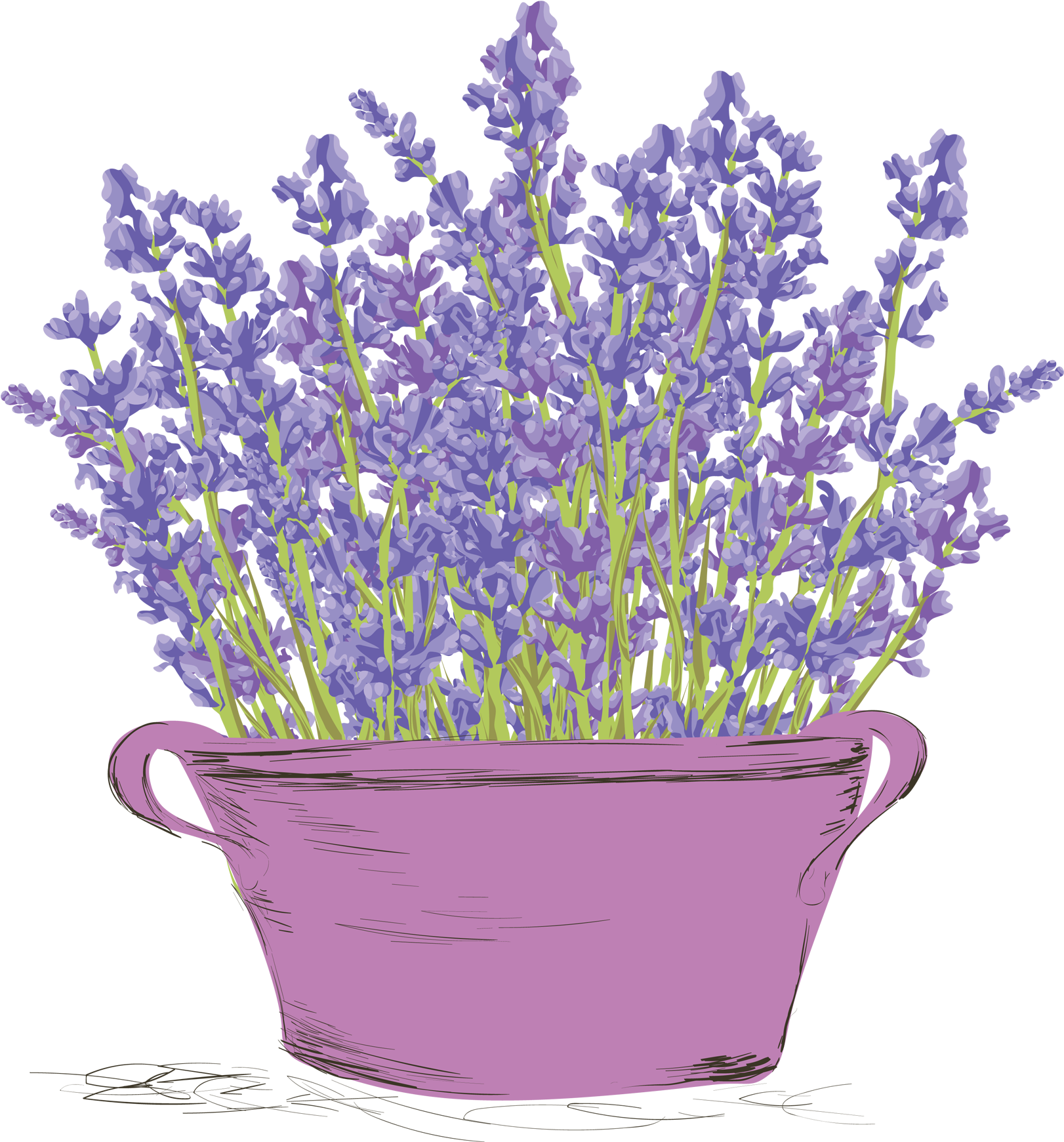 A Purple Plant In A Pot