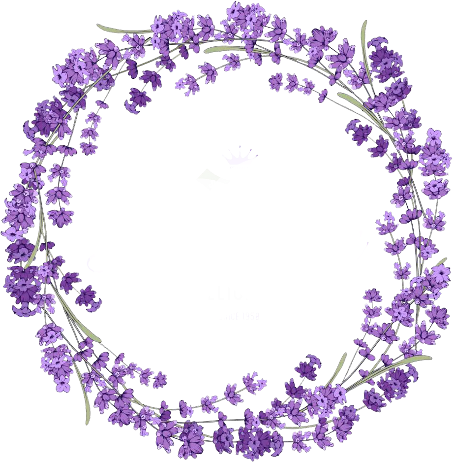 A Purple Flowers In A Circle