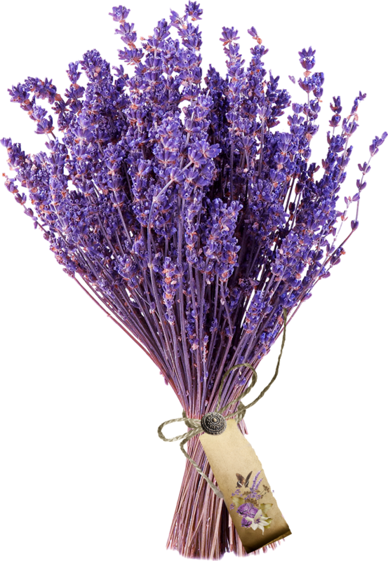 A Bunch Of Lavender Flowers