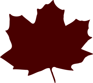 A Red Maple Leaf On A Black Background
