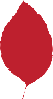 A Red Oval With Black Background