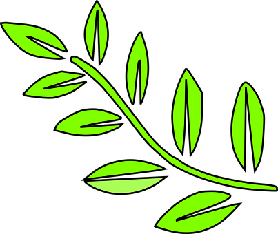 A Green Leafy Branch With Black Background