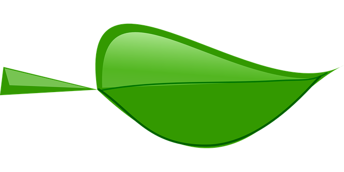 A Green Leaf On A Black Background
