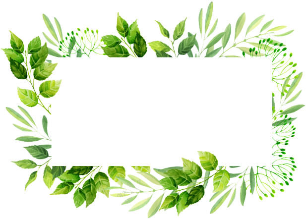 A Rectangular Frame Of Leaves