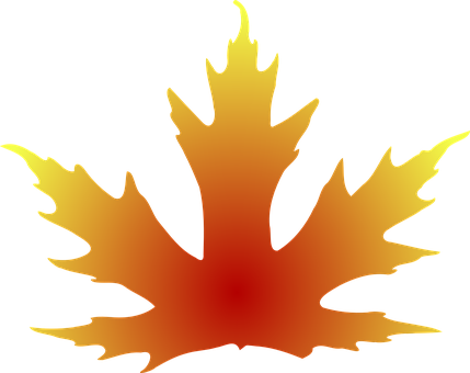 A Maple Leaf On A Black Background