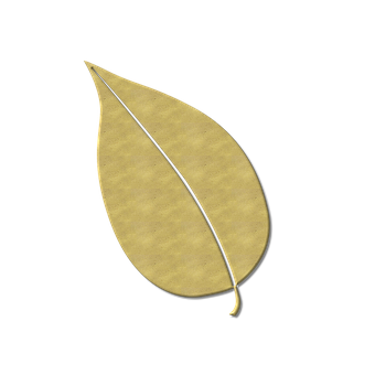 Leaf Png 340 X 340