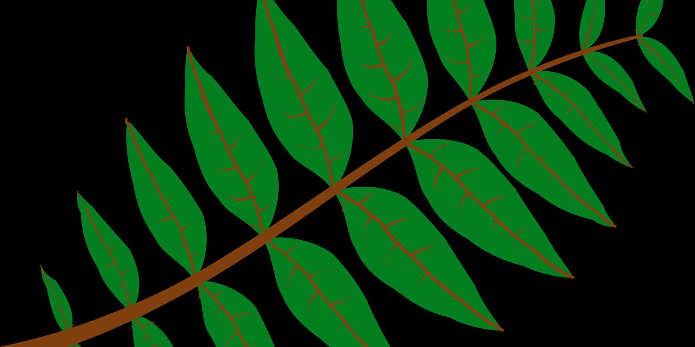 A Green Leaf With Red Lines On A Black Background