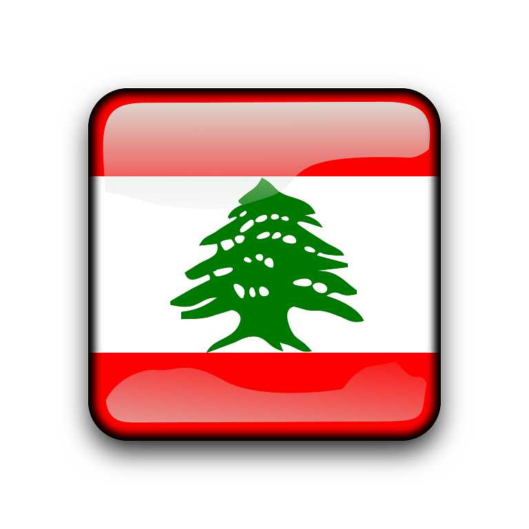 A Flag With A Tree On It