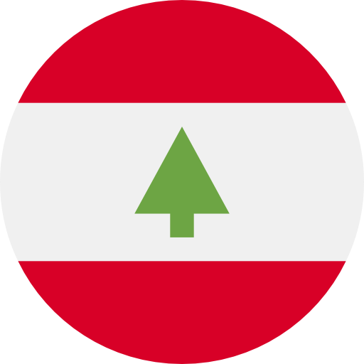 A Red White And Green Flag With A Green Arrow