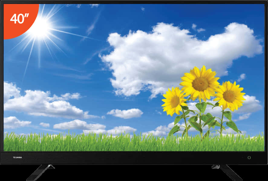 A Sunflowers And Grass On A Television