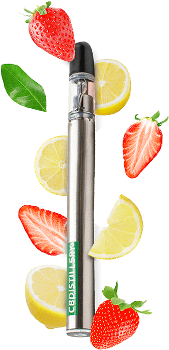 A Silver Lighter With Fruit Slices Around It