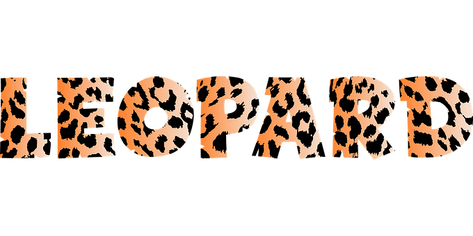 A Black And Orange Text With Black And Orange Leopard Print