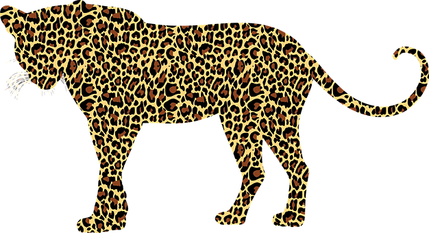 A Cheetah With Black Background
