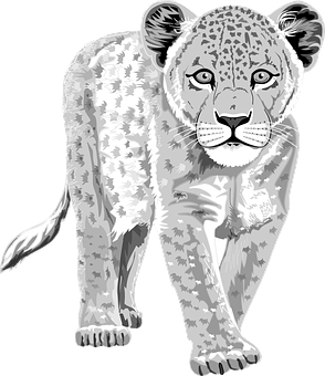 A Black And White Image Of A Cheetah
