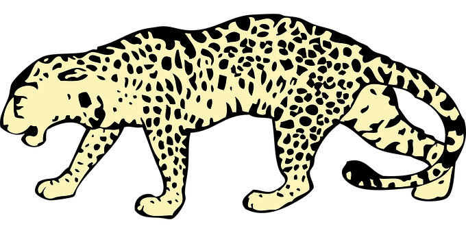 A White Spotted Animal With Black Background