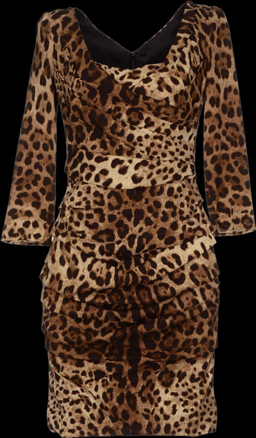 A Dress With A Leopard Print