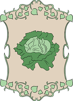 A Green Cabbage In A Frame