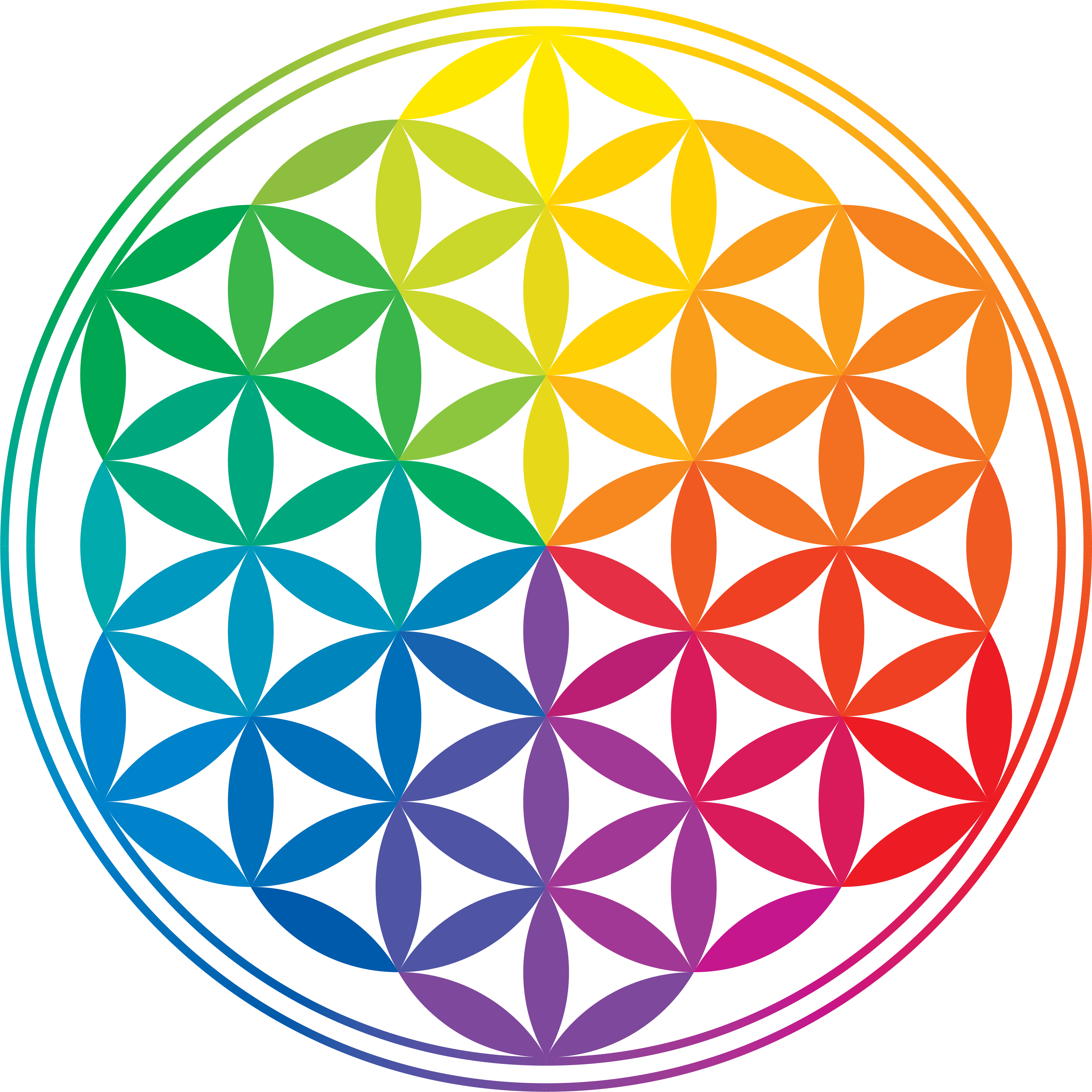 A Rainbow Colored Flower Of Life Symbol