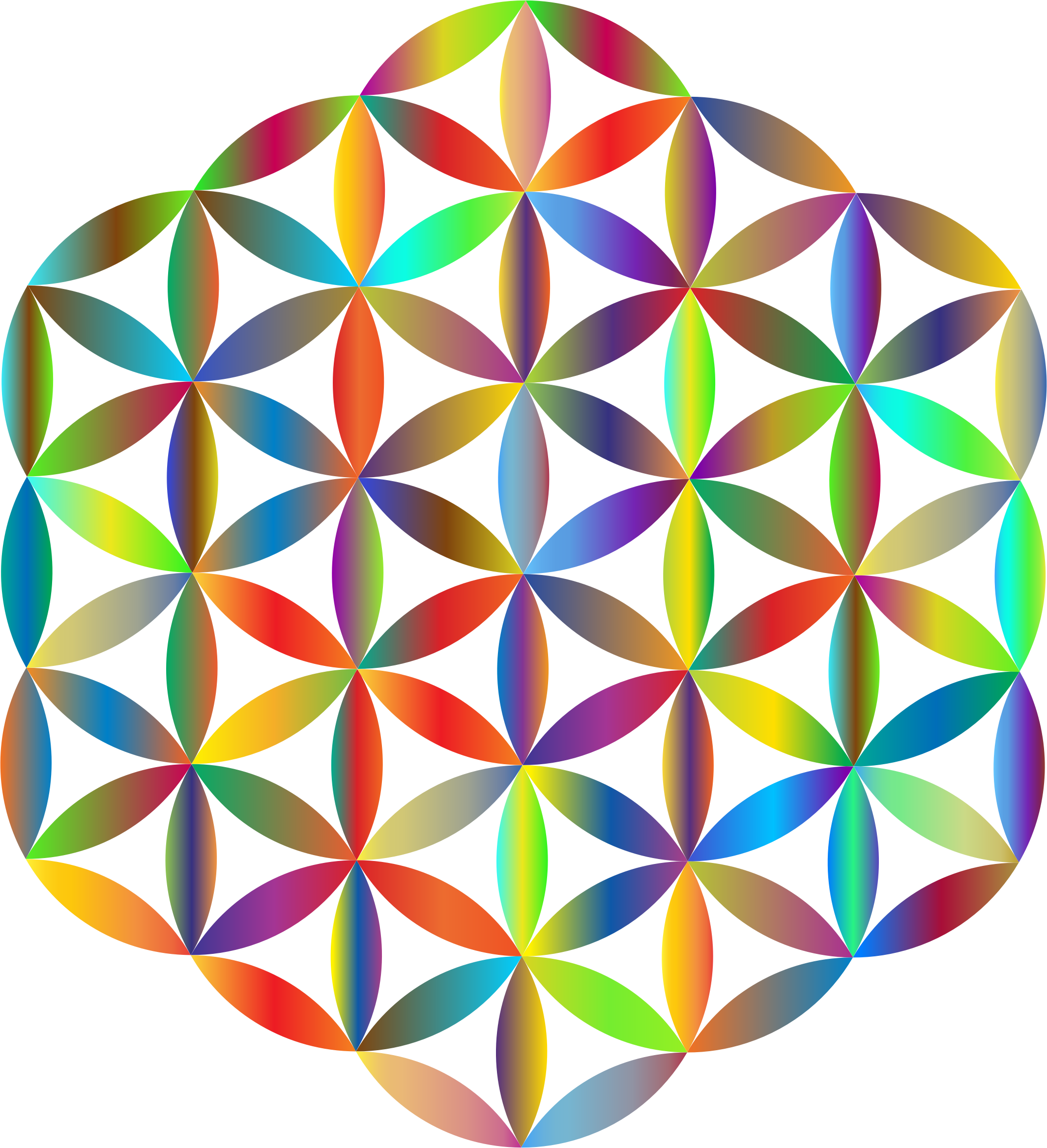 A Colorful Flower Of Life