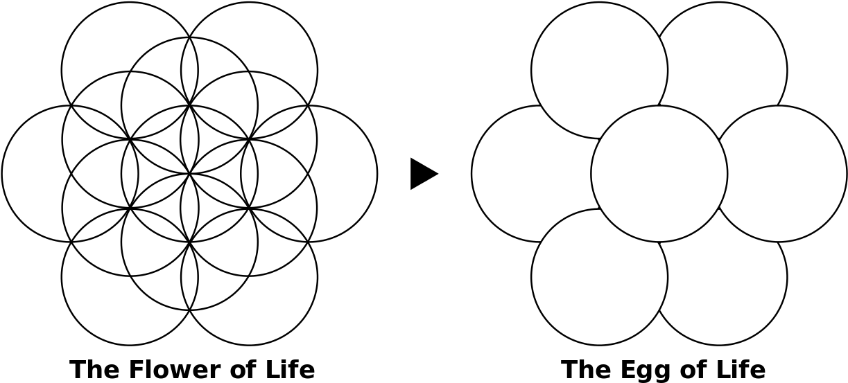 A Group Of White Circles On A Black Background