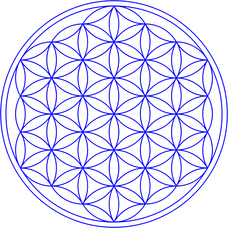 A Blue Flower Of Life