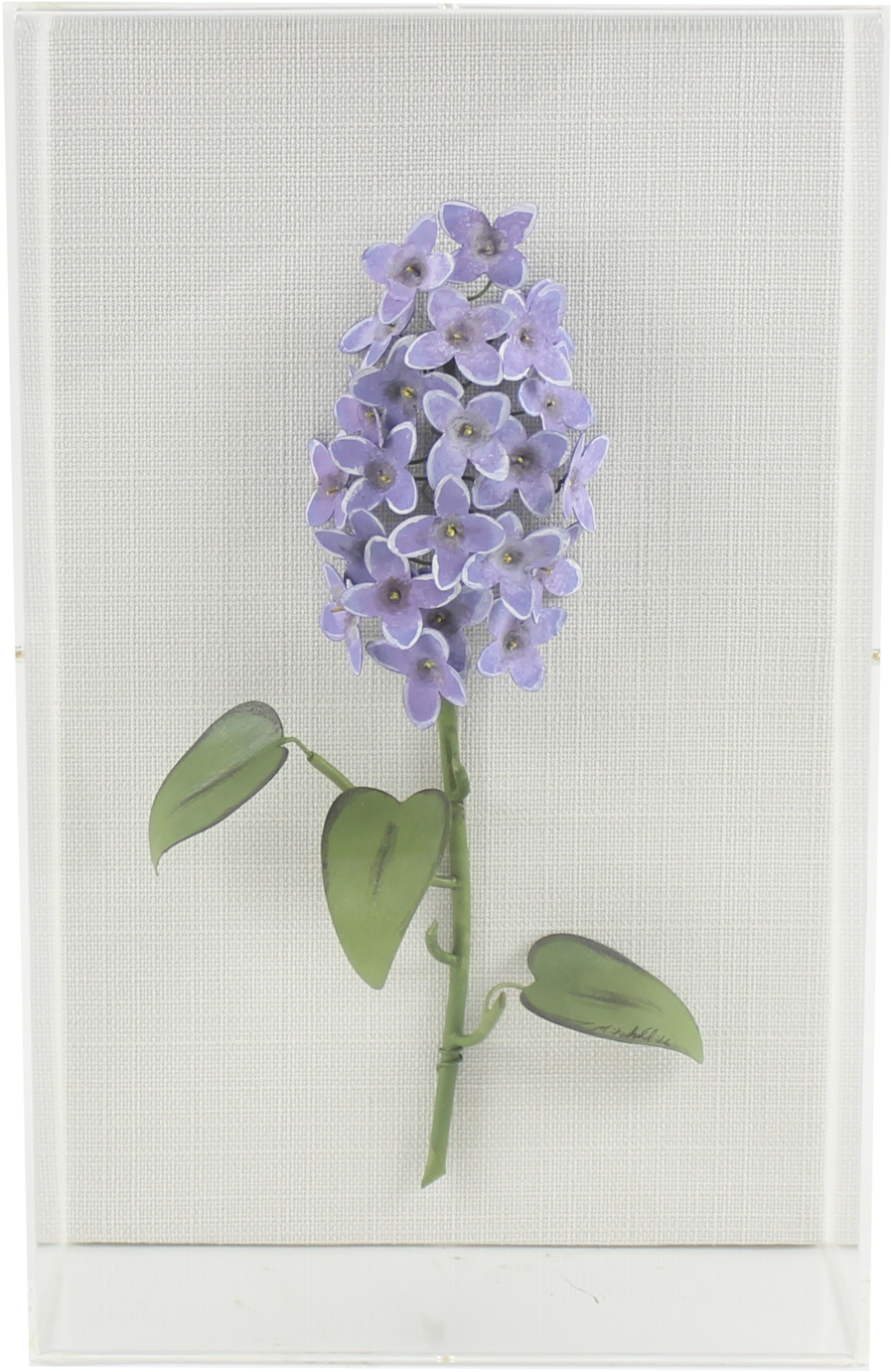 A Purple Flower On A White Background
