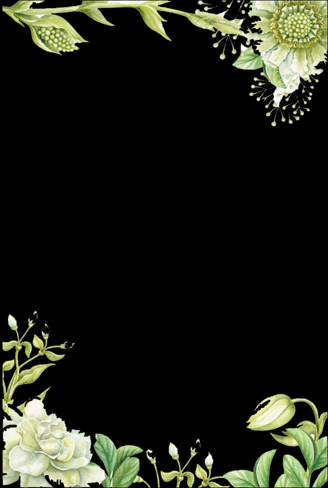 Lilium Flower Border Png Image - Green Flower Borders Clipart, Transparent Png