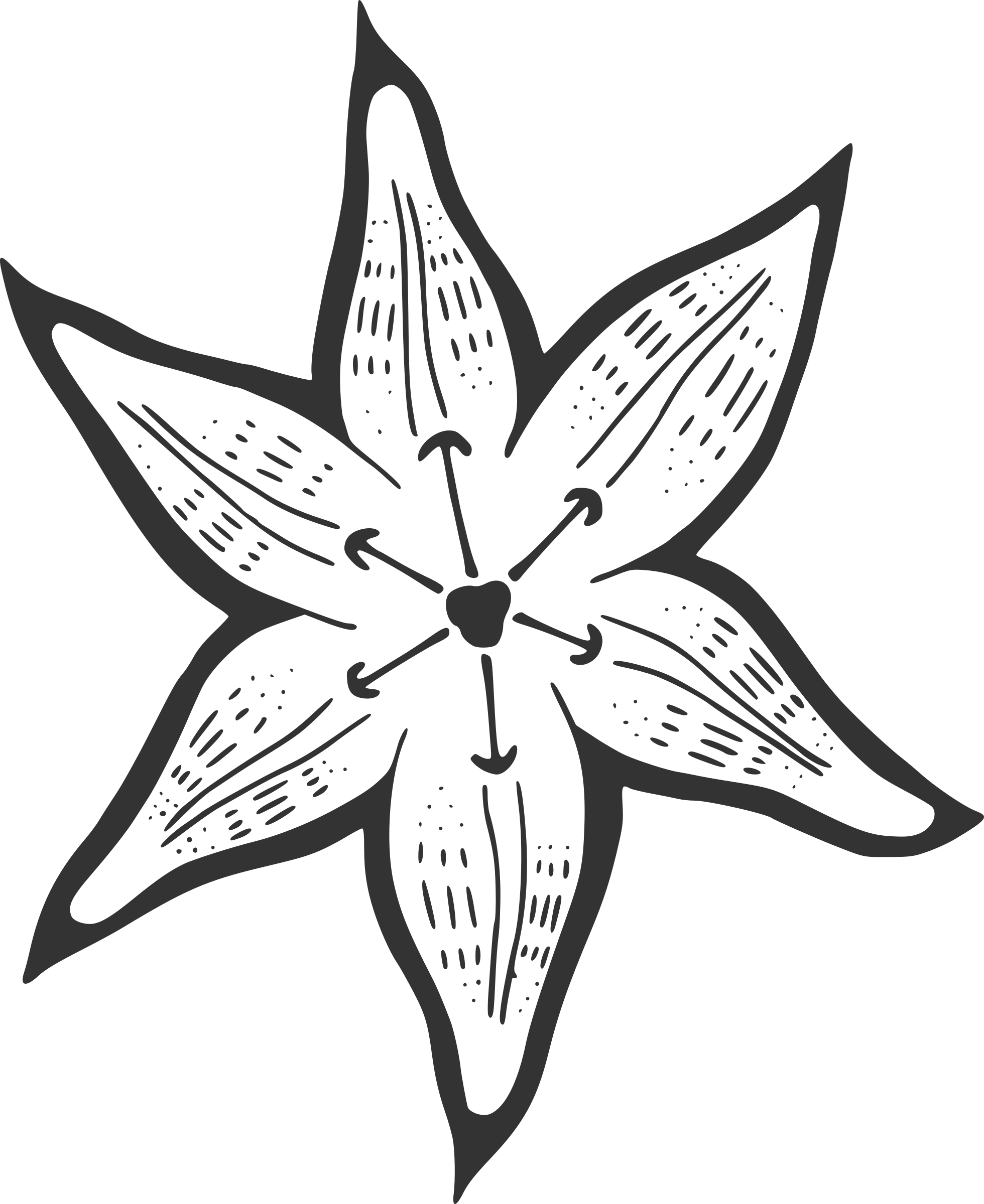A White Flower With Arrows