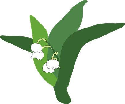 Lily Png 408 X 340
