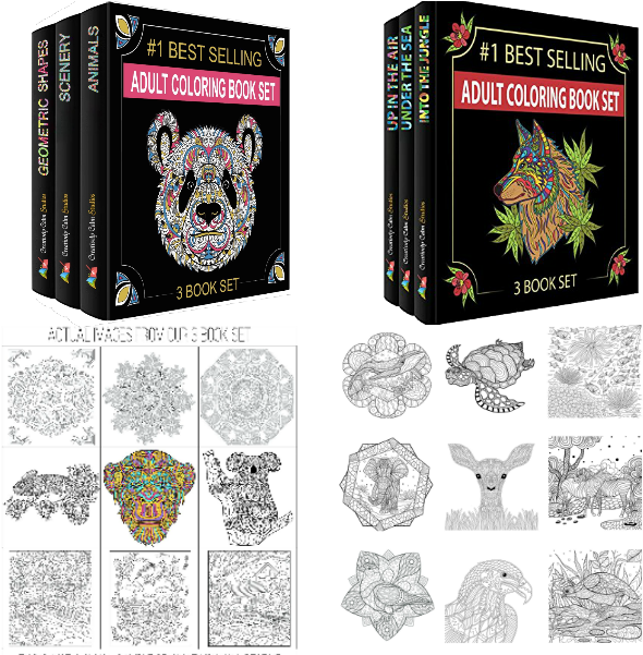 A Coloring Book Set With Pictures Of Animals