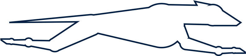 A Black Background With White Circles And Blue Lines