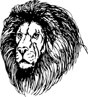 Lion Png 309 X 340