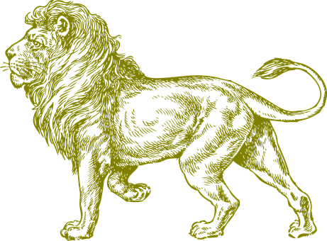 Lion Png 461 X 340