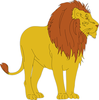 Lion Png 339 X 340