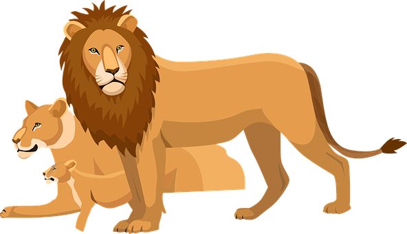 Lion Png 592 X 340