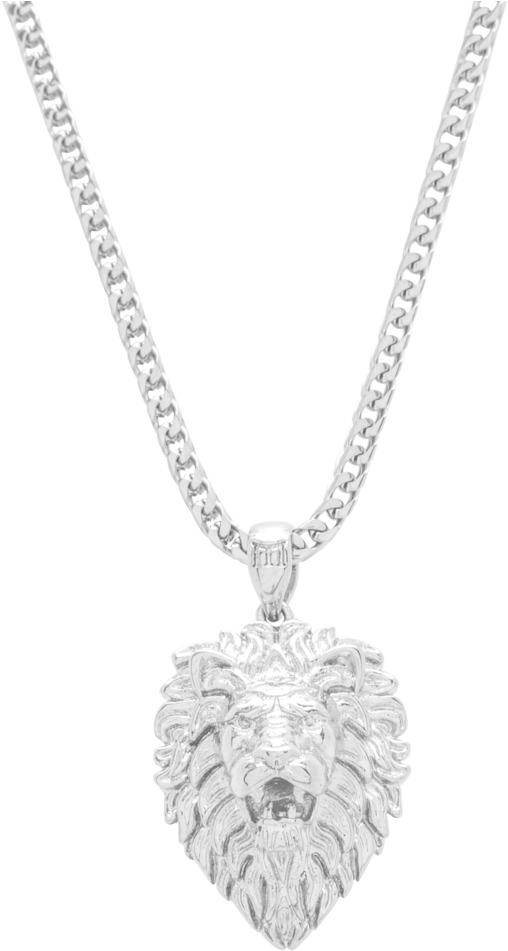 A Silver Lion Necklace On A Chain