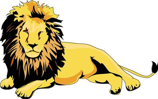 Lion Png 542 X 340