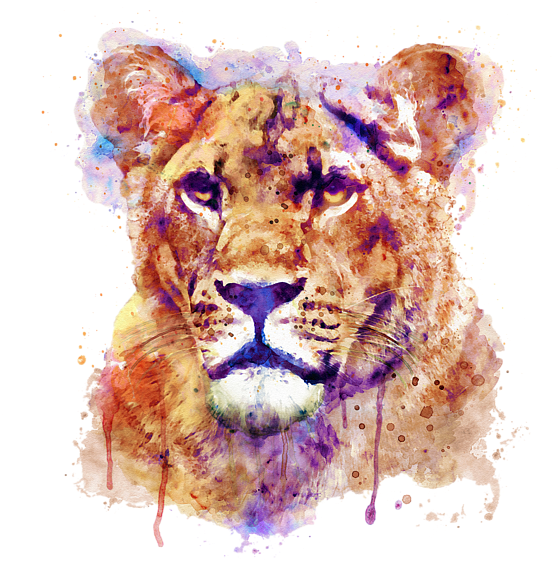 Lioness Art Transparent, Hd Png Download