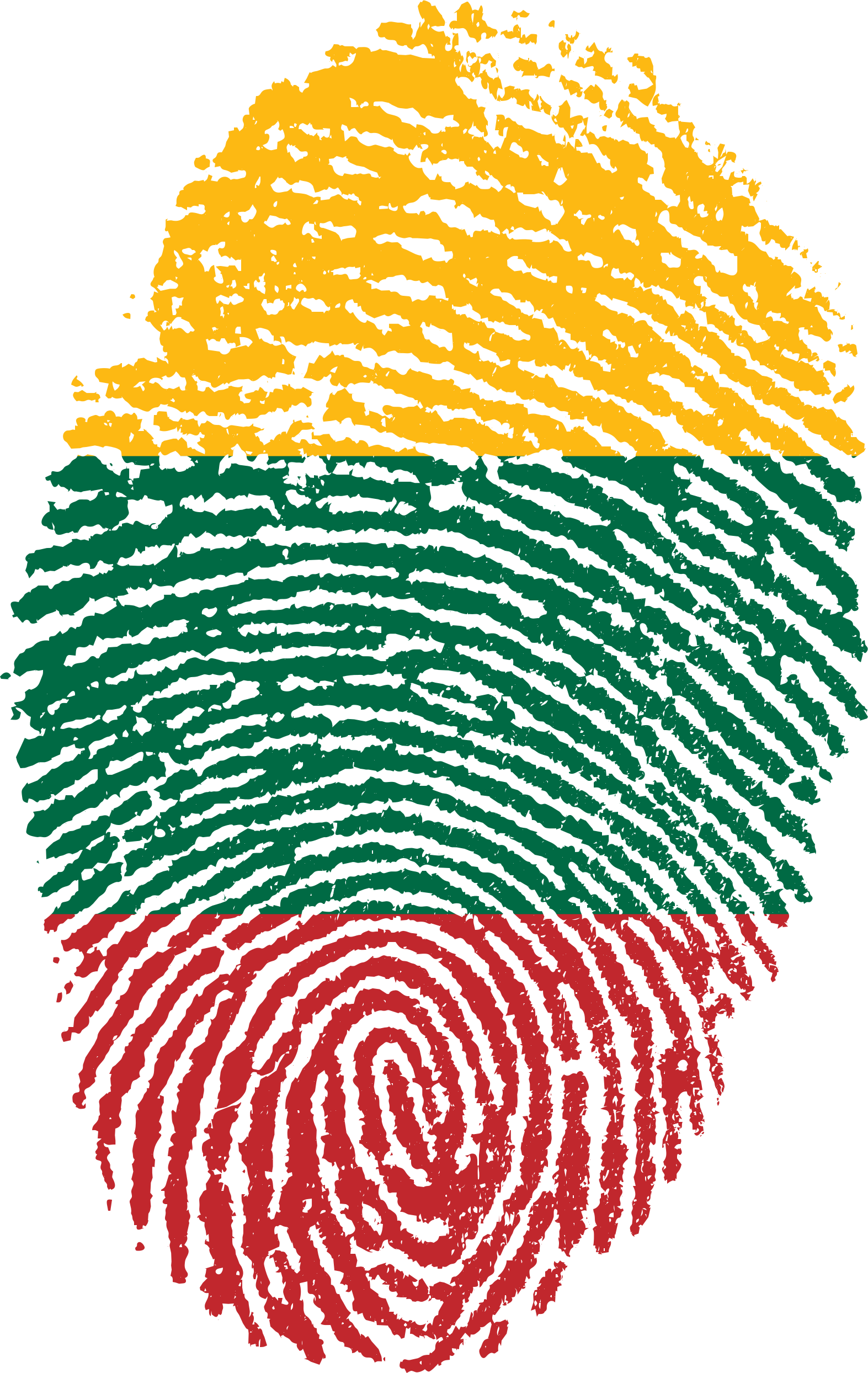 A Fingerprint With A Red Green And Yellow Stripe