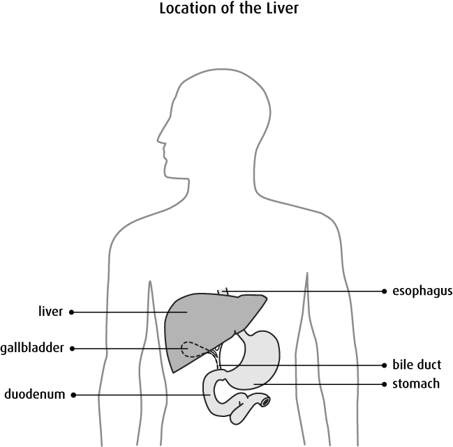A Black And White Image Of A Human Body