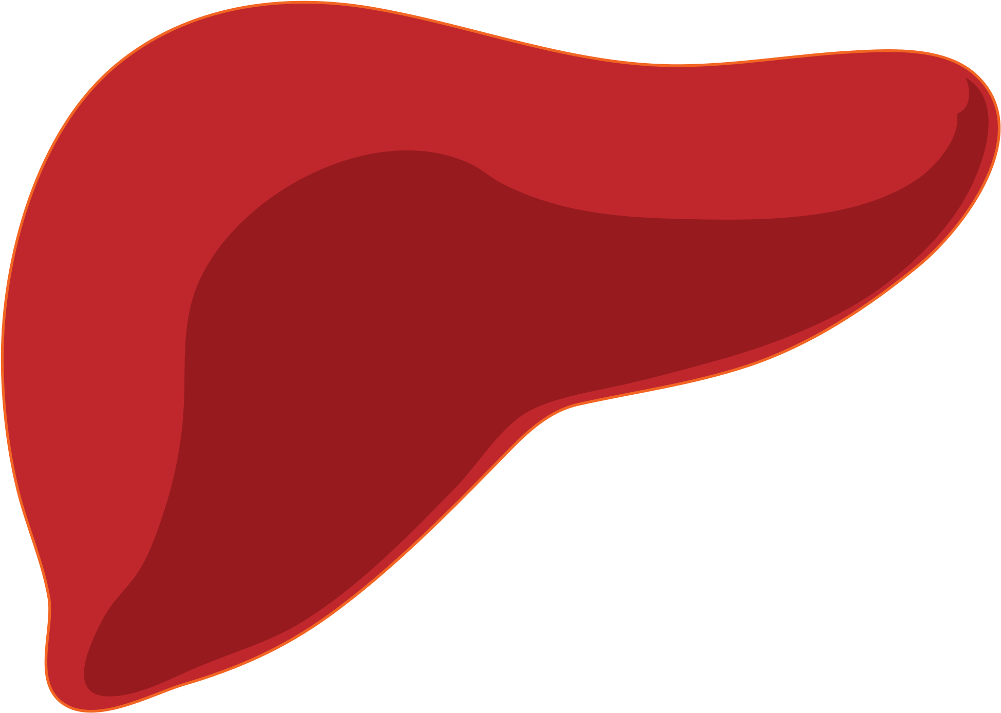 A Red Liver On A Black Background